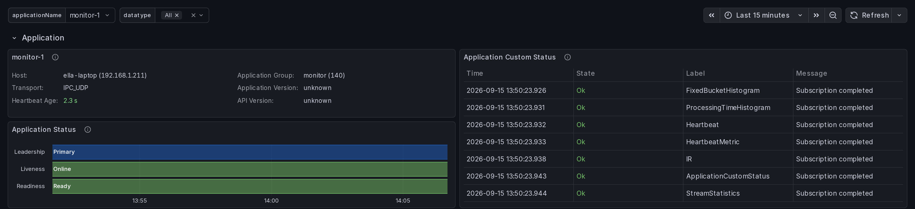 Application details, custom status and lifecycle state
